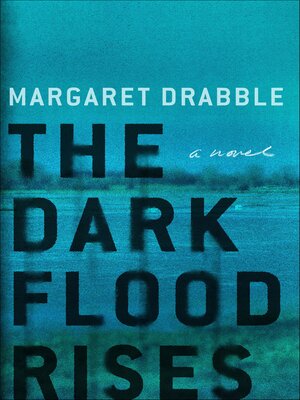 cover image of The Dark Flood Rises
